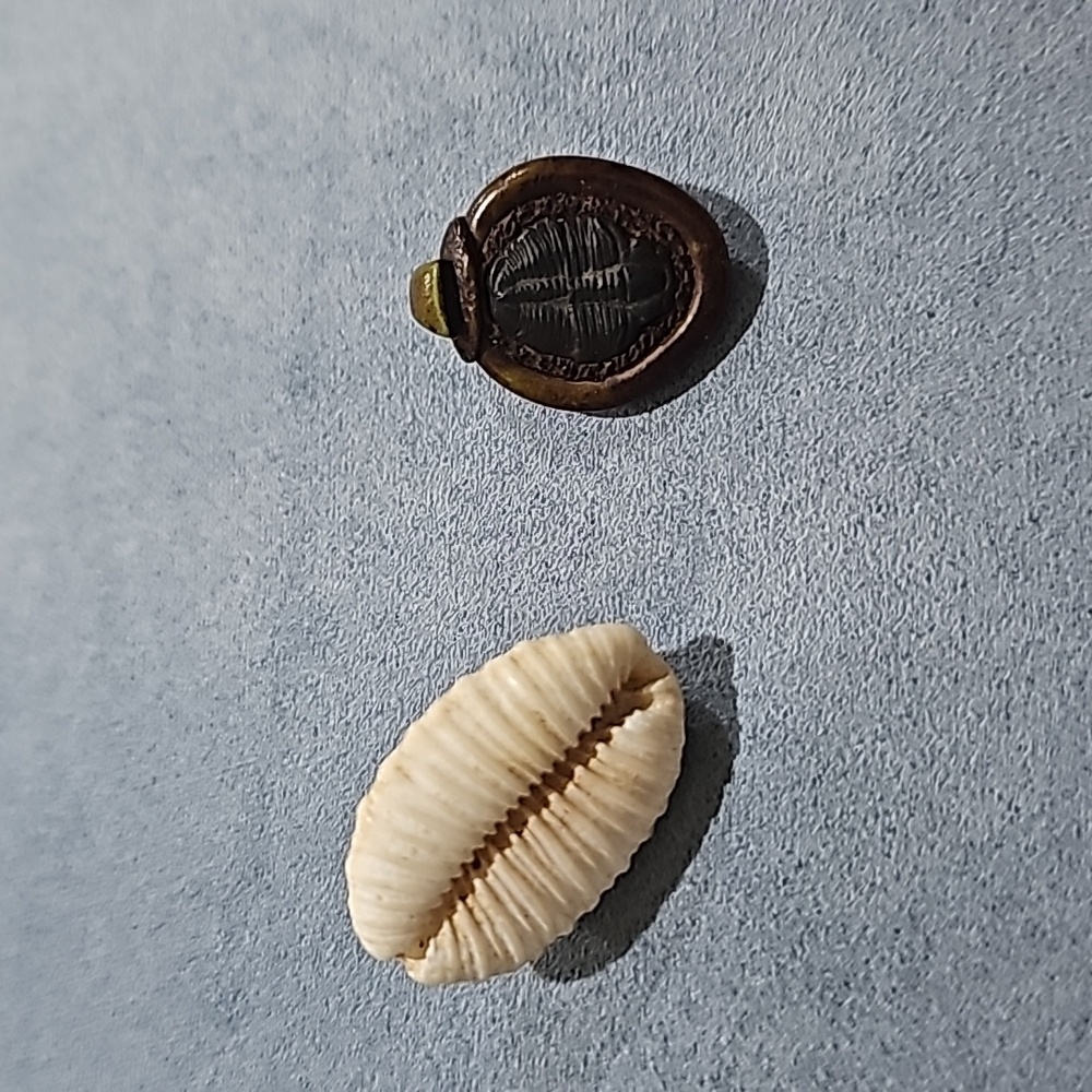Free With A $15 Purchase. Pendant from Hawaii and a cowrie shell from HAWAII
